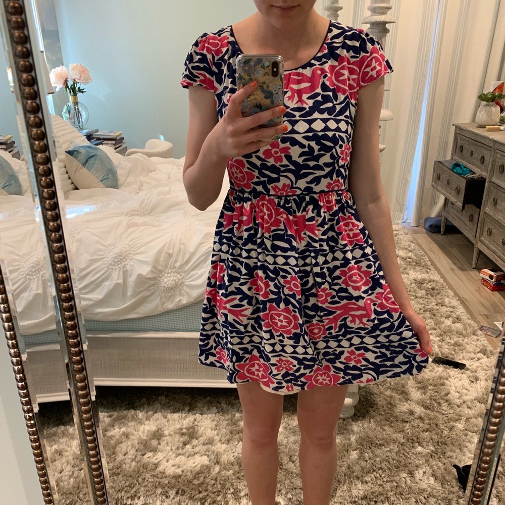 Anthropologie petite dress